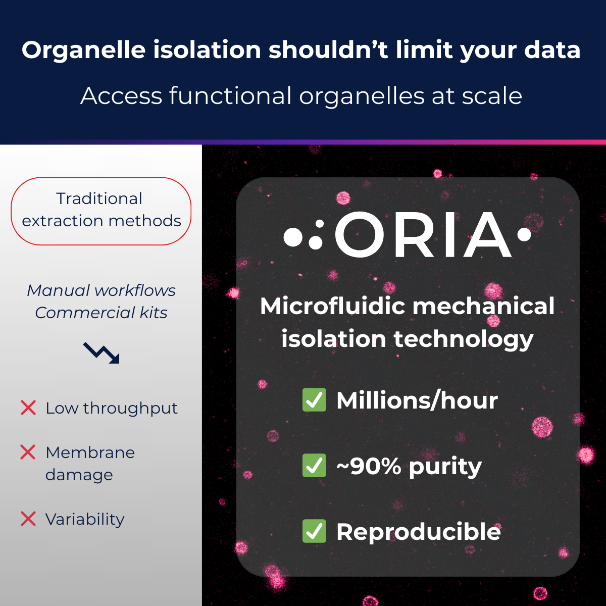 Organelle isolation thanks to microfluidics