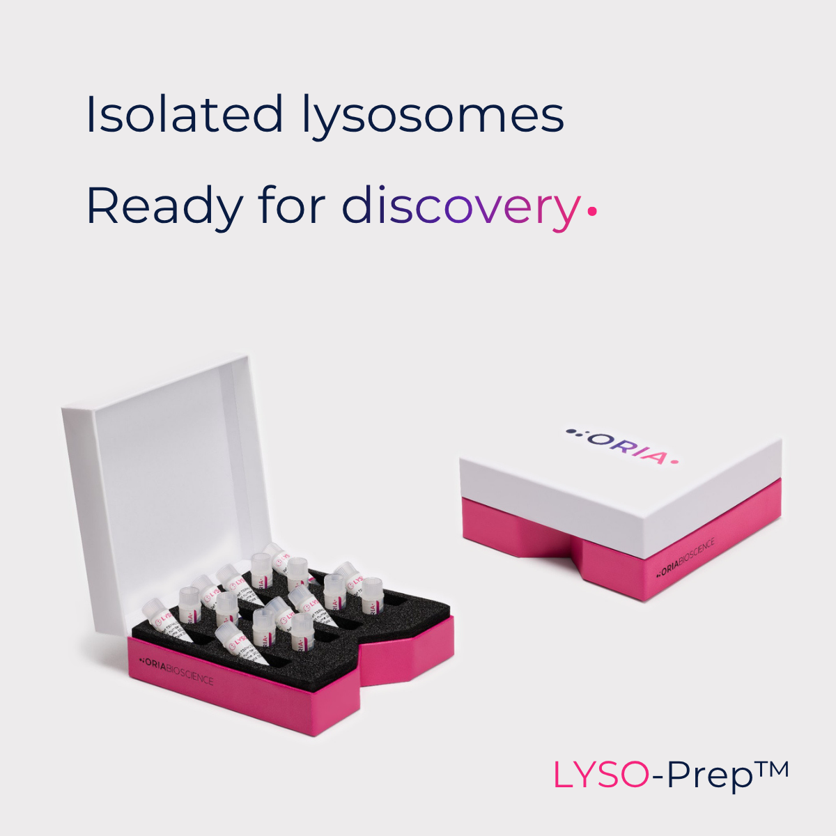 Ready-to-use isolated lysosomes: LYSO-Prep™