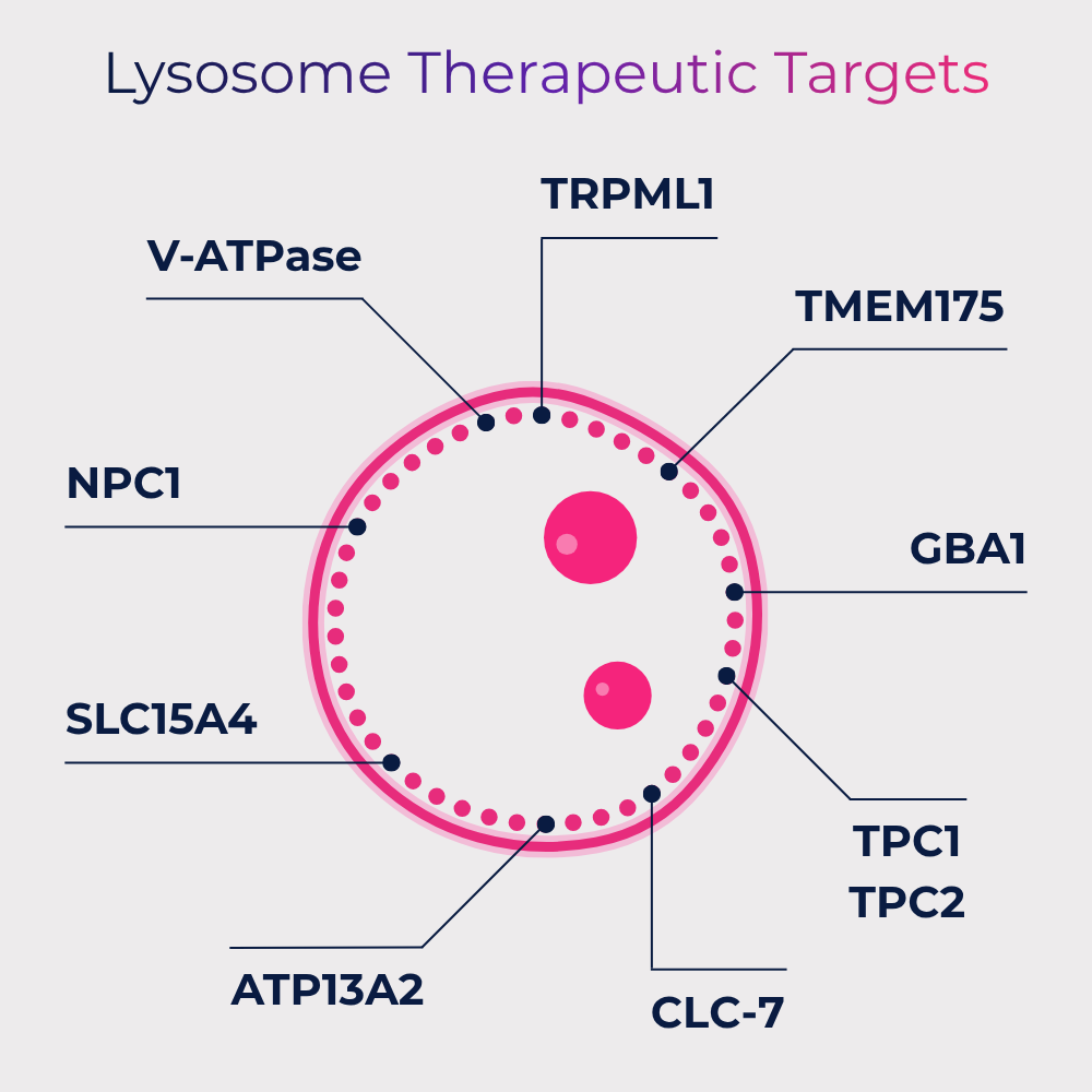 Lysosomal Therapeutic Targets of LYSO-Prep™