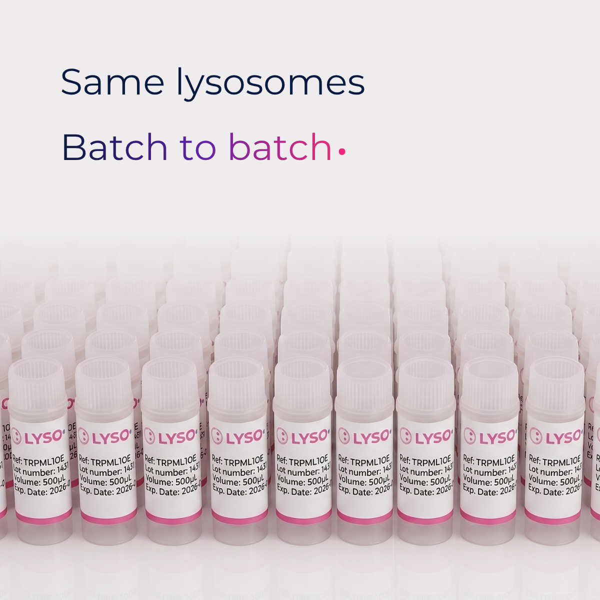 LYSO-Prep™ - Reproducibility is key!