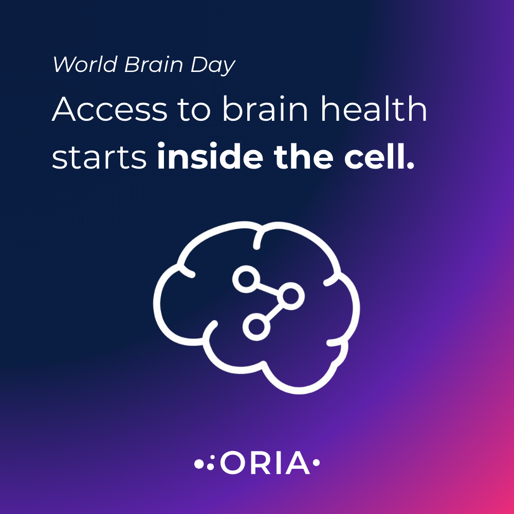 World Brain Day