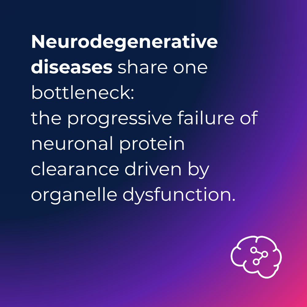 Lysosome dysfonctions in neurodegenerative diseases