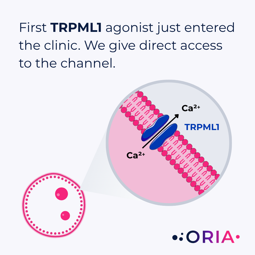 TRPML1: first agonist in phase 1 clinical trials