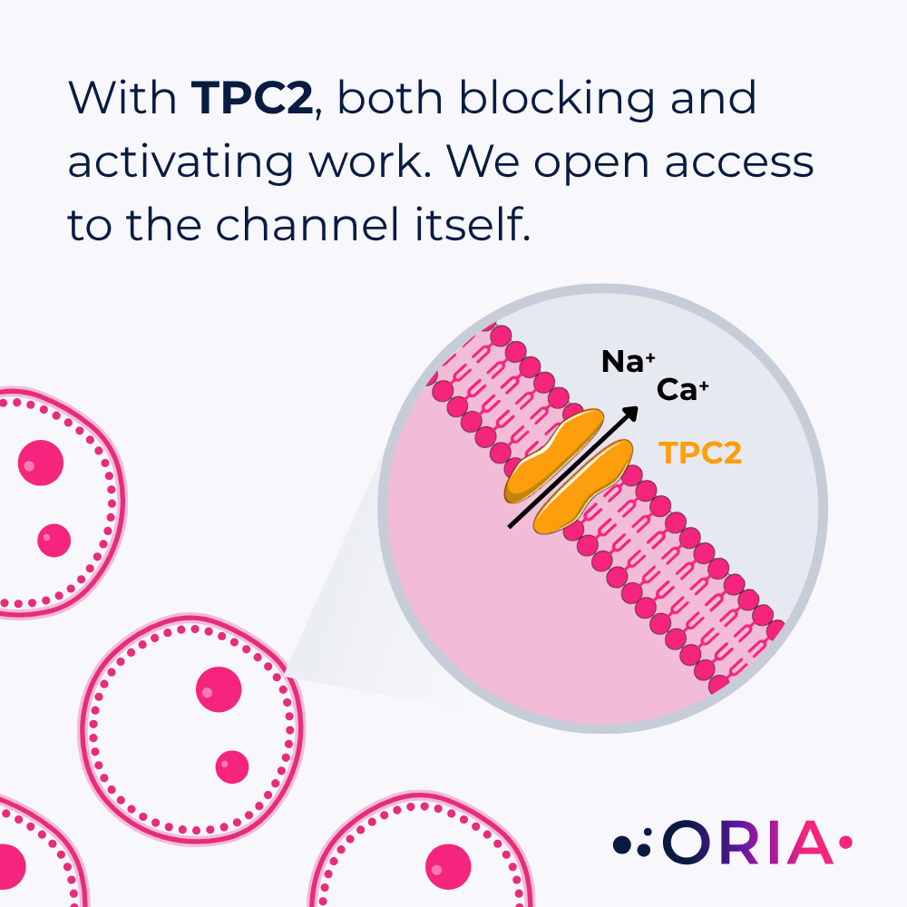 Focus on ion channel TPC2